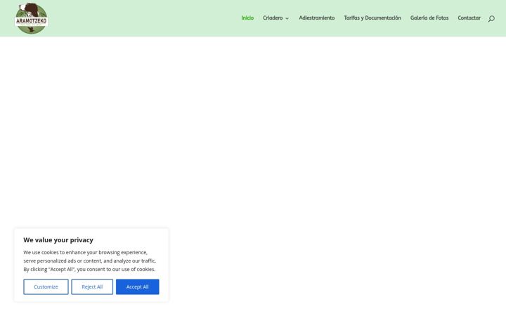 Screenshot of aramotzeko.com