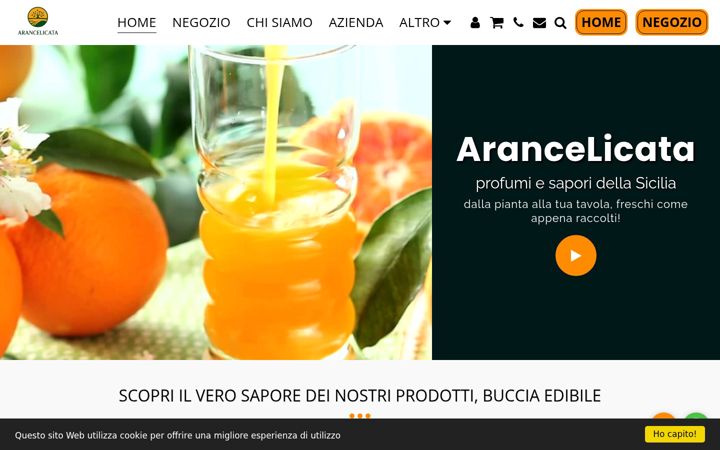 Screenshot of arancelicata.it