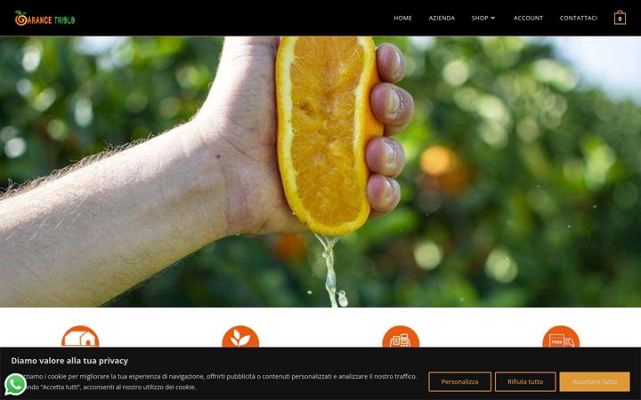 Screenshot of arancetriolo.it