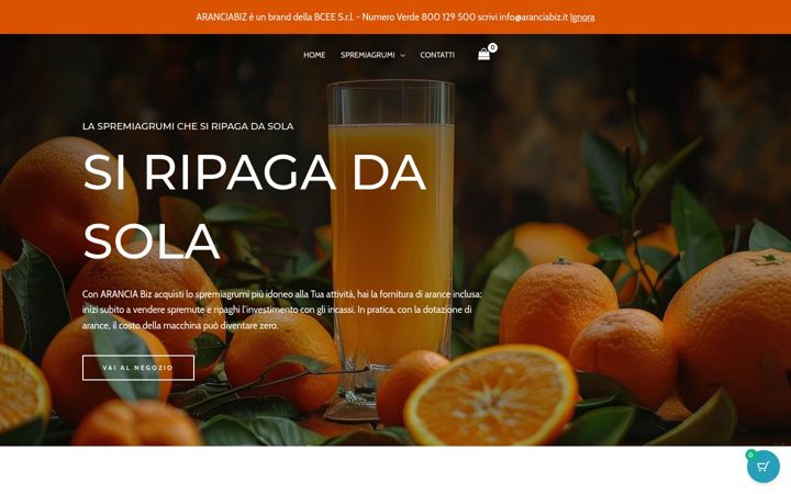 Screenshot of aranciabiz.it