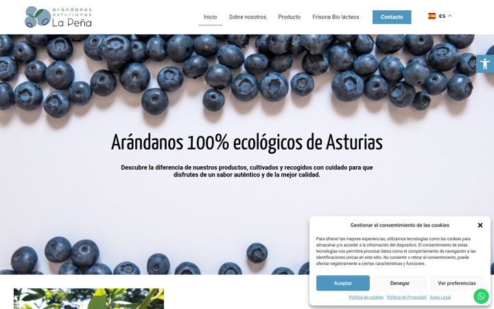 Screenshot of arandanosecologicos.com