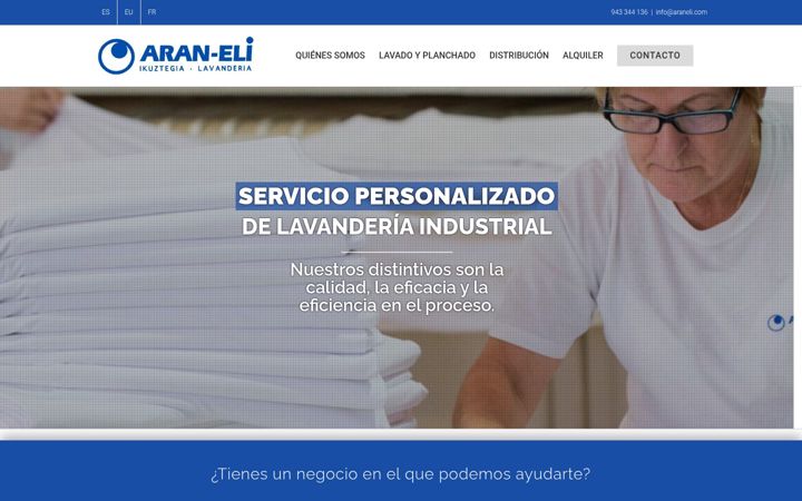 Screenshot of araneli.com
