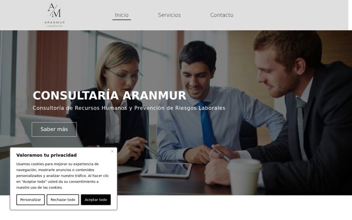 Zrzut ekranu aranmur.com