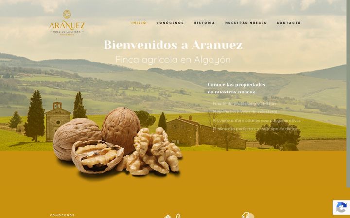 Screenshot of aranuez.com