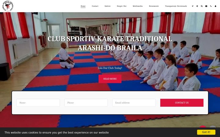Screenshot of arashi-dobraila.com