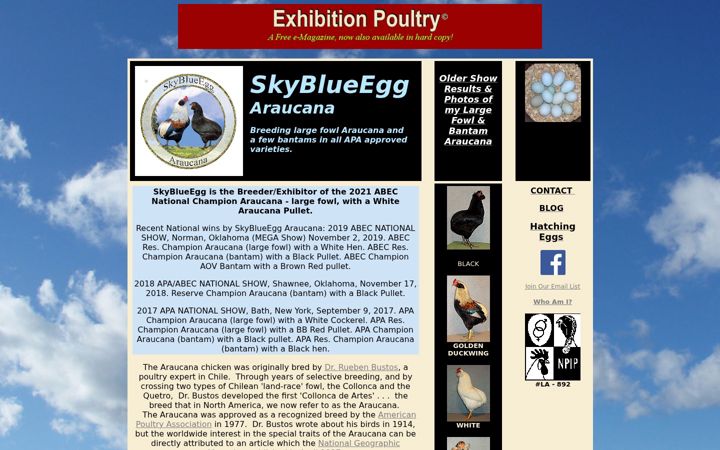 Screenshot of araucana.com