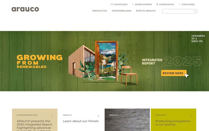 Screenshot of arauco.cl
