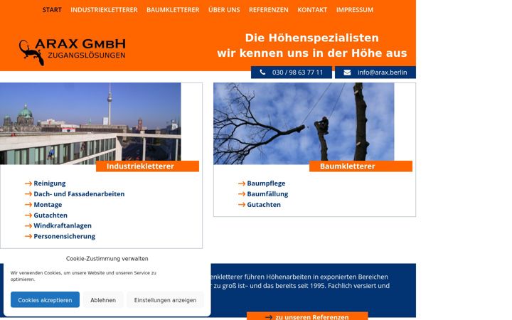 Screenshot of araxweb.com