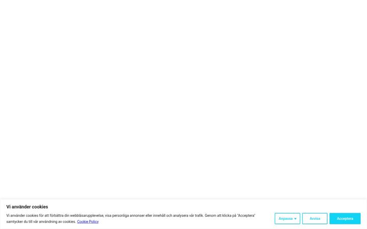 Screenshot di arbetsstart.se