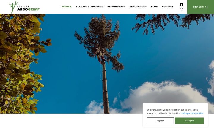 Screenshot of arbogrimp.be