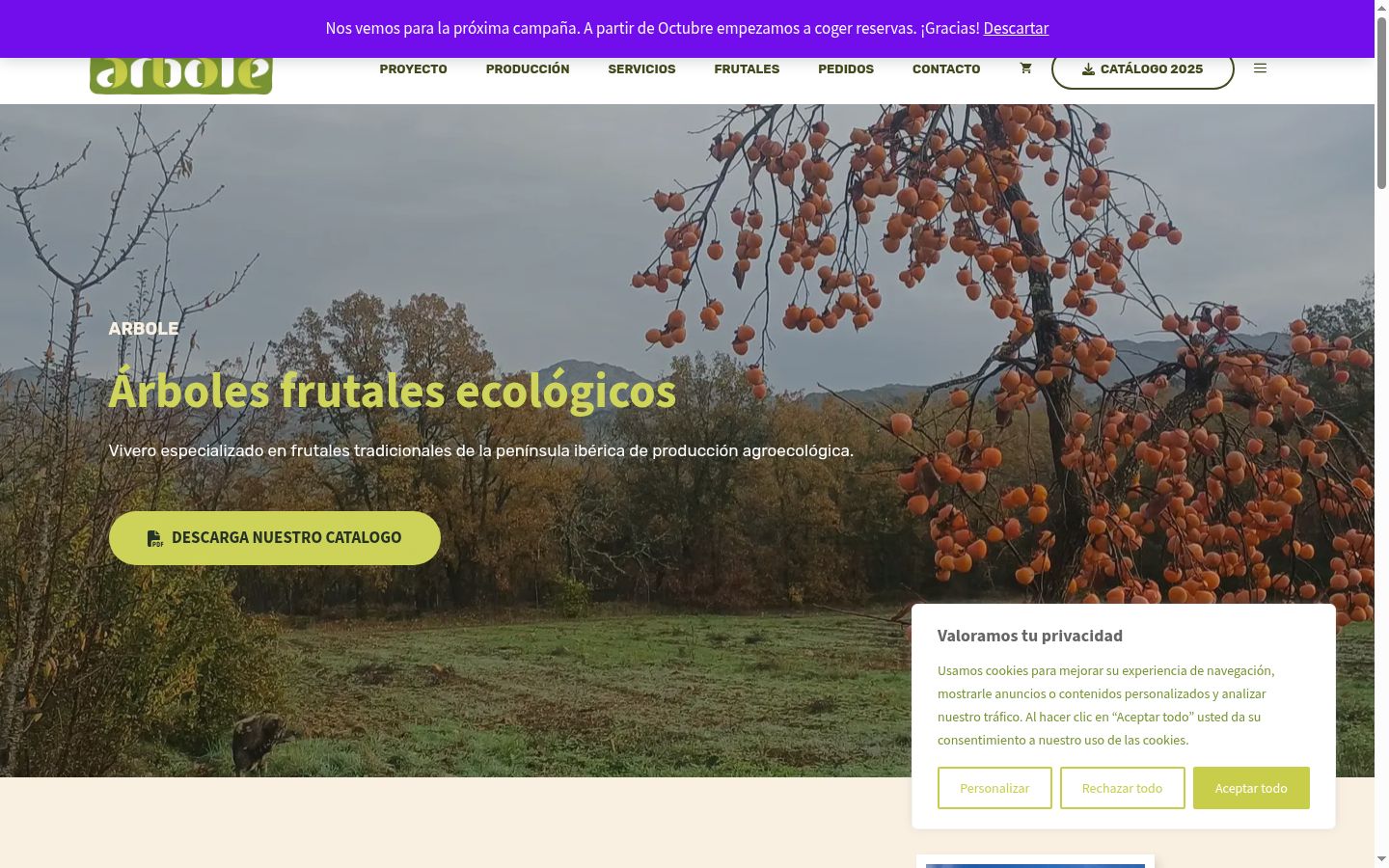 Screenshot of the consent banner shown before any interaction