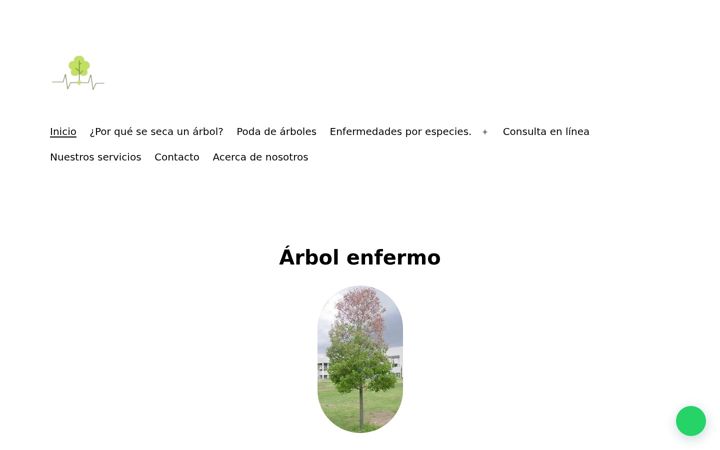 Screenshot of arbolenfermo.com