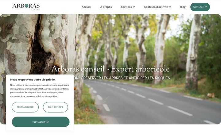Screenshot of arboras-conseil.fr