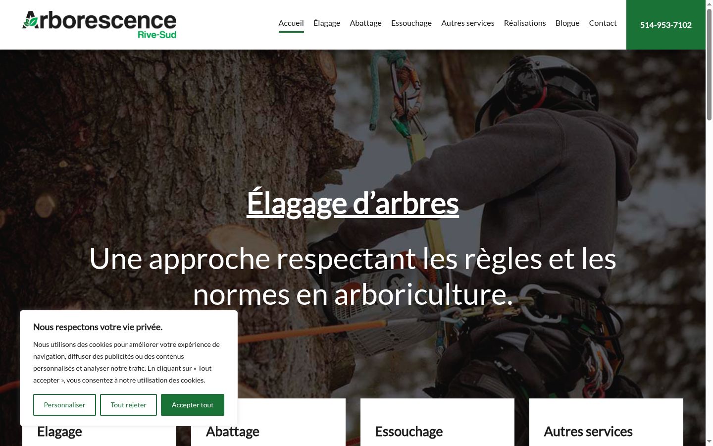 Screenshot of the consent banner shown before any interaction