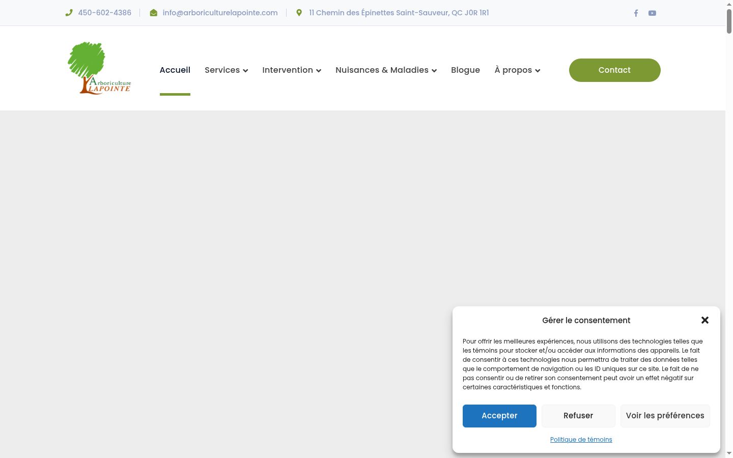 Captura de ecrã do banner de consentimento apresentado antes de qualquer interação