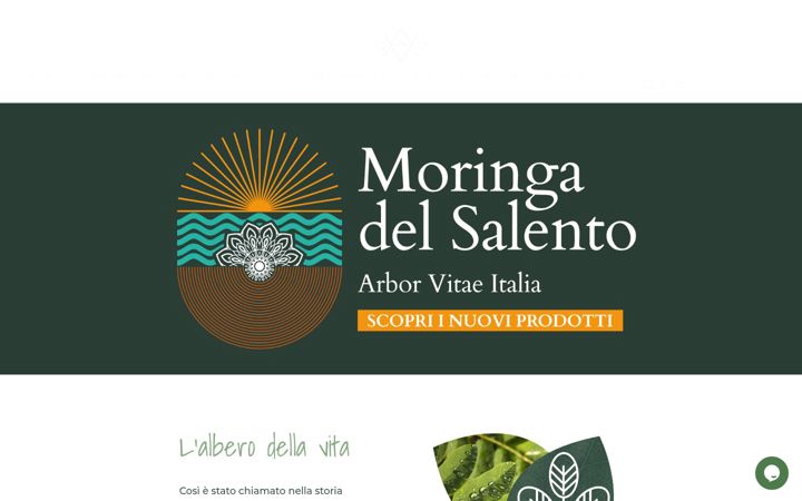 Screenshot of arborvitaeitalia.it