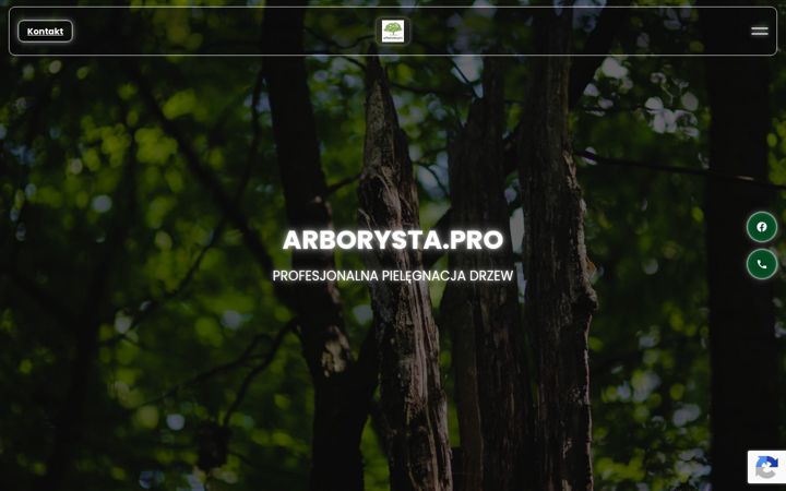 Screenshot of arborysta.pro