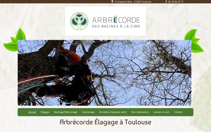 Screenshot of arbrecordeelagage.fr