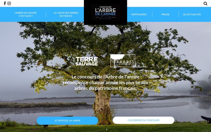 Screenshot of arbredelannee.com