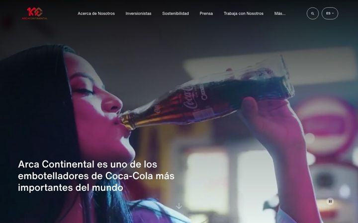 Screenshot of arcacontal.com