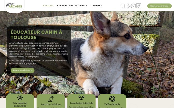 Screenshot of arcanis-studio.fr