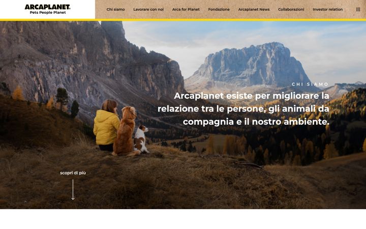 Zrzut ekranu arcaplanetgroup.com