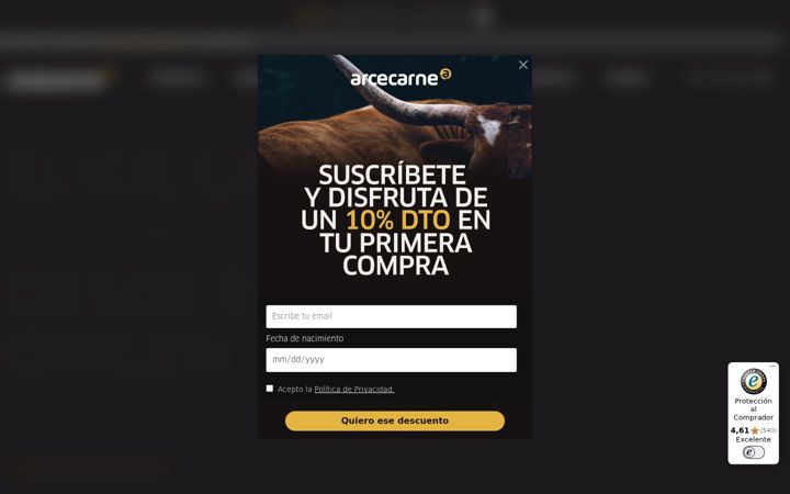 Zrzut ekranu arcecarne.es