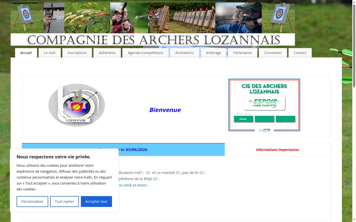Captura de ecrã do banner de consentimento apresentado antes de qualquer interação