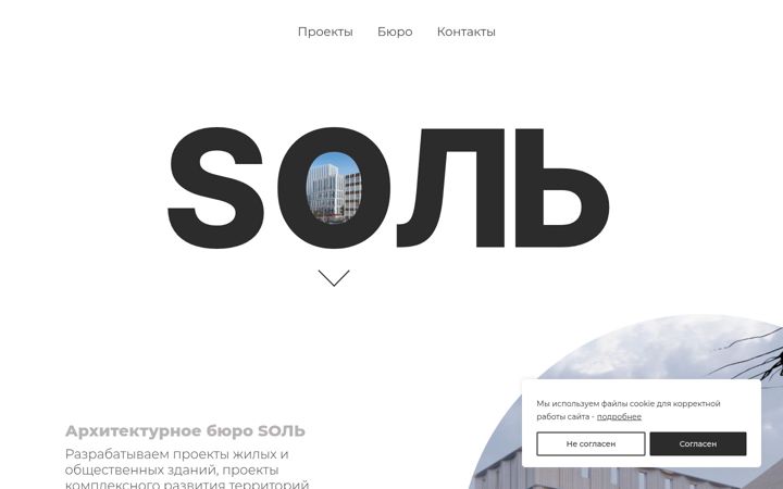Screenshot of archisalt.ru