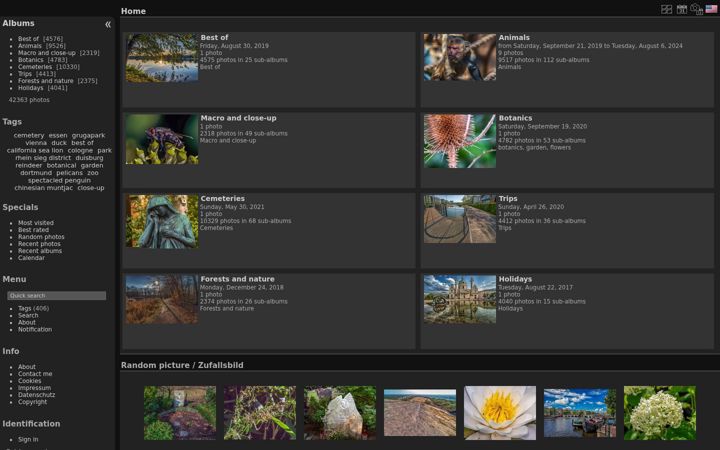 Screenshot of archshannon.net