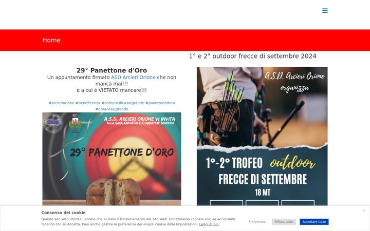 Screenshot of arcieriorione.it