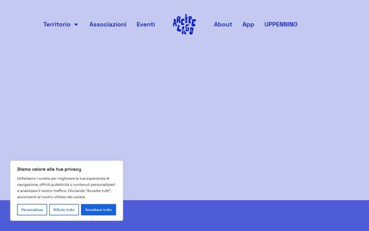 Screenshot of arcipelago.network
