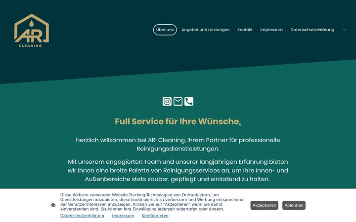 Screenshot of arcleaning.de