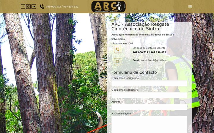 Zrzut ekranu arcsintrak9.com