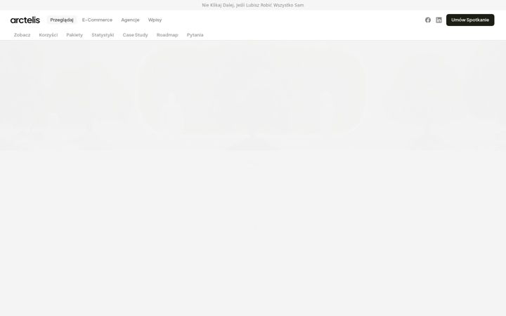 Skjámynd af arctelis.pl