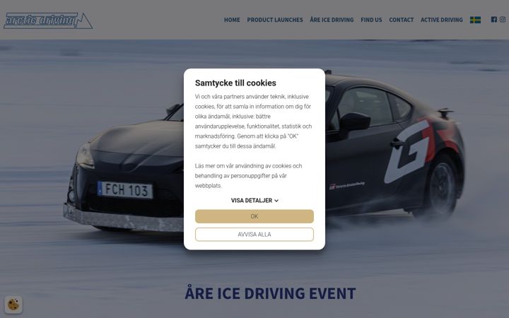 Screenshot van arcticdriving.com
