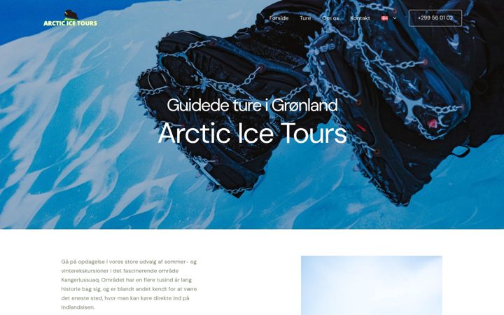 Screenshot von arcticicetours.com