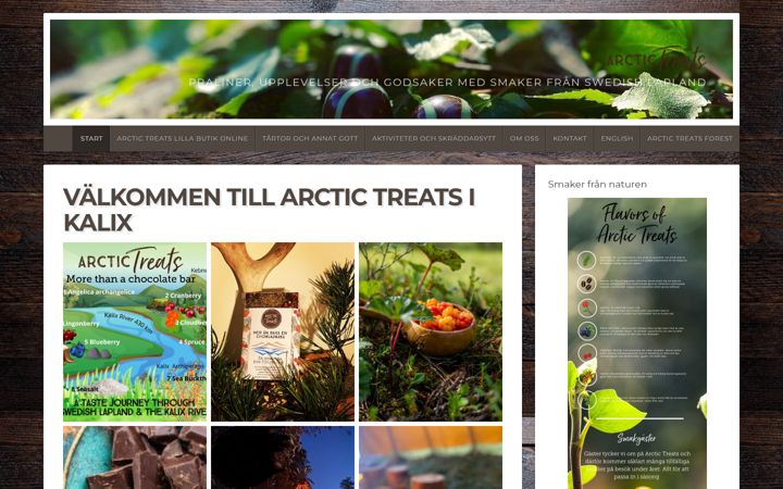 Screenshot di arctictreats.se