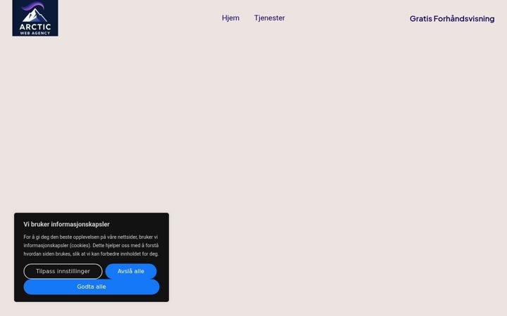 Screenshot di arcticwebagency.com