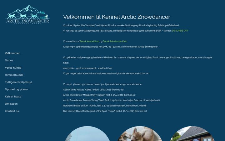 Screenshot of arcticznowdancer.dk