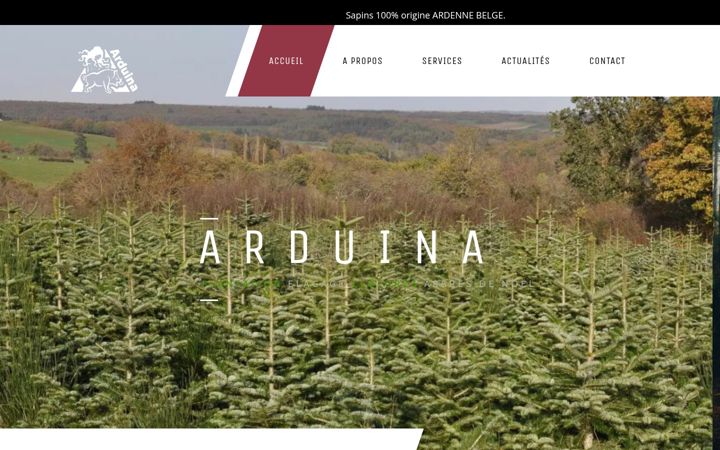 Snimka zaslona za arduina.eu