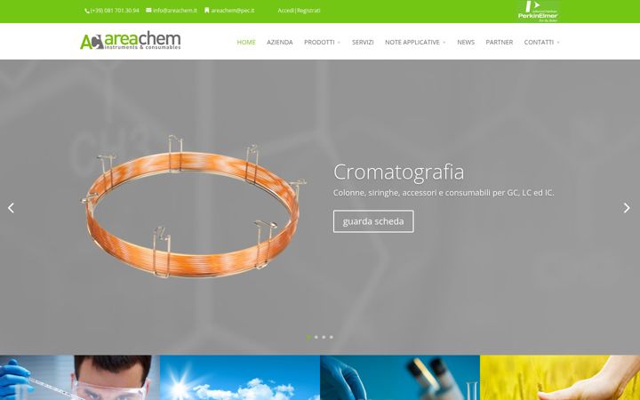 Zrzut ekranu areachem.it