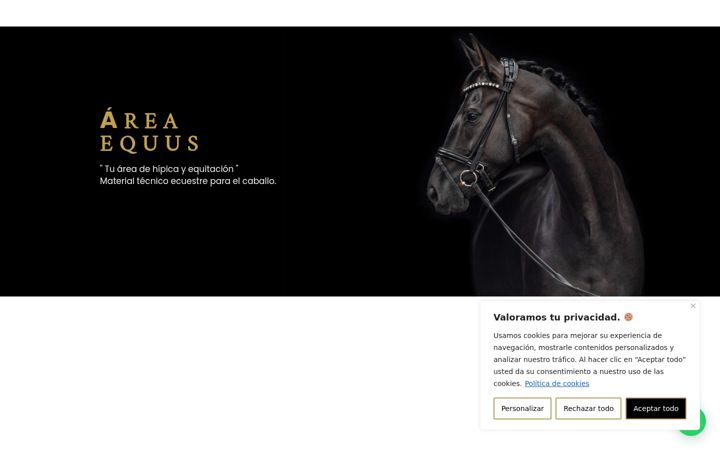 Screenshot του areaequus.com