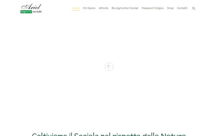 Screenshot of arielcoop.it