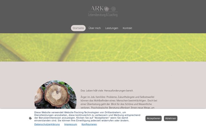 Screenshot of ark-coaching.de