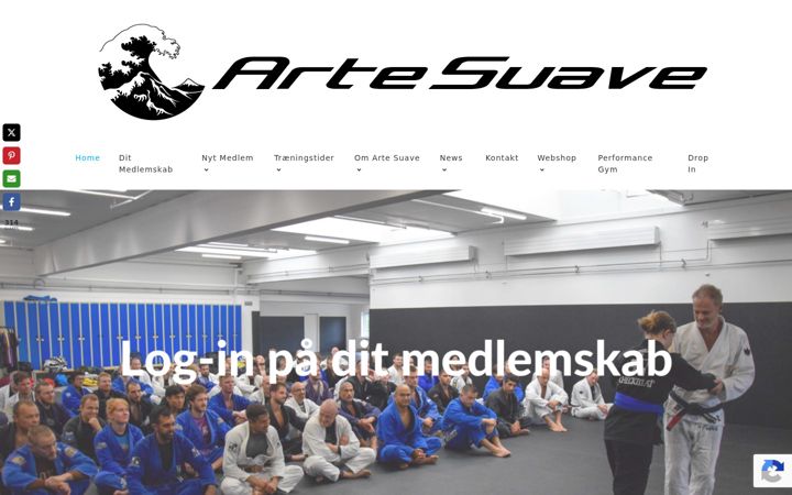 Screenshot of artesuave.dk