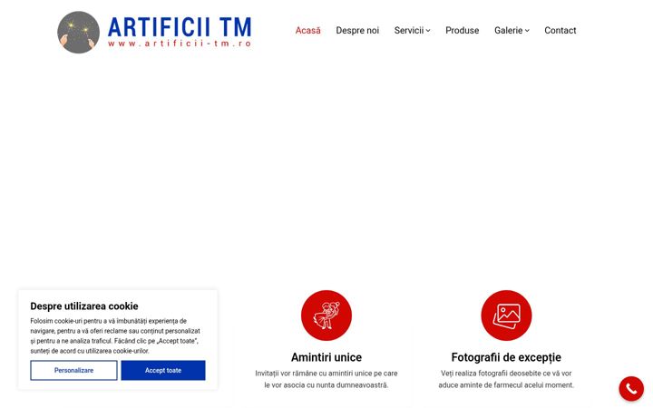 Screenshot von artificii-tm.ro