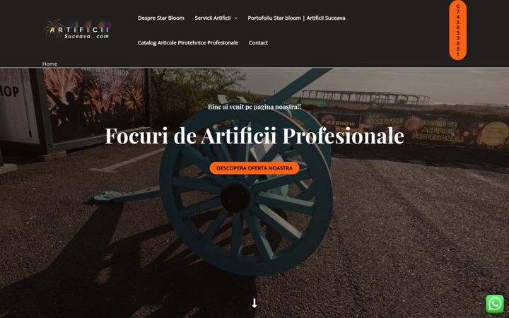 Posnetek zaslona artificiisuceava.com