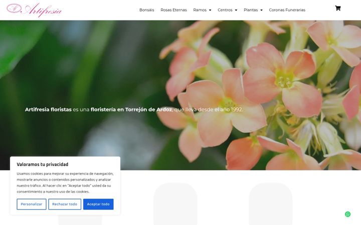 Posnetek zaslona artifresiafloristas.com