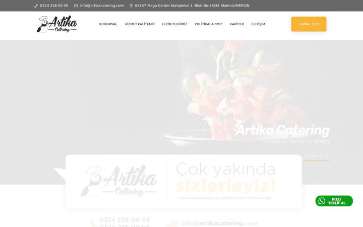 Zrzut ekranu artikacatering.com